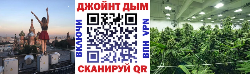 Все наркотики Кущёвская МАРИХУАНА  Кокаин  Alpha PVP  Псилоцибиновые грибы  ГАШ 