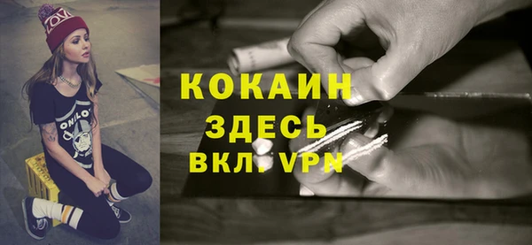 индика Богородск