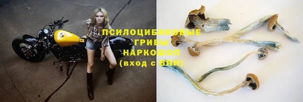 соль ск Богданович