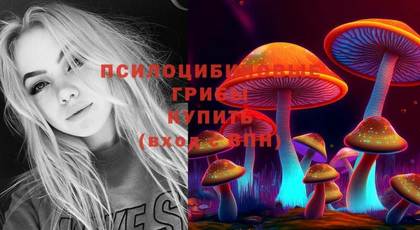 МДПВ Навашино